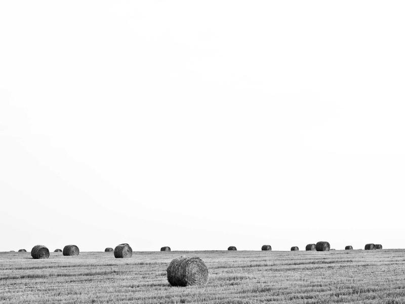 樱花放送<br>日本原版动漫与生肉资源